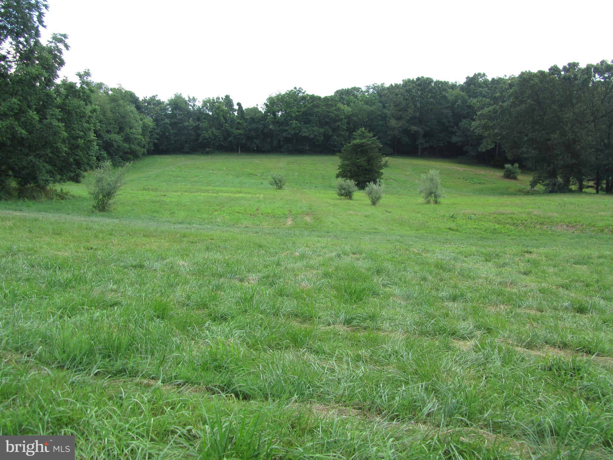 Burke Road White Hall, MD 21161 - Photo 12 of 23