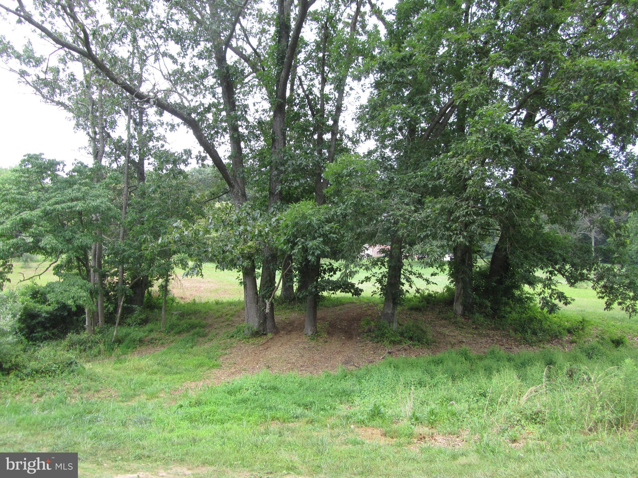 Burke Road White Hall, MD 21161 - Photo 13 of 23