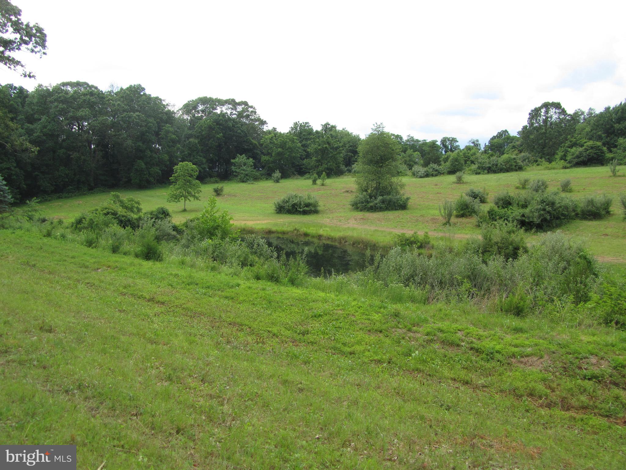 Burke Road White Hall, MD 21161 - Photo 15 of 23