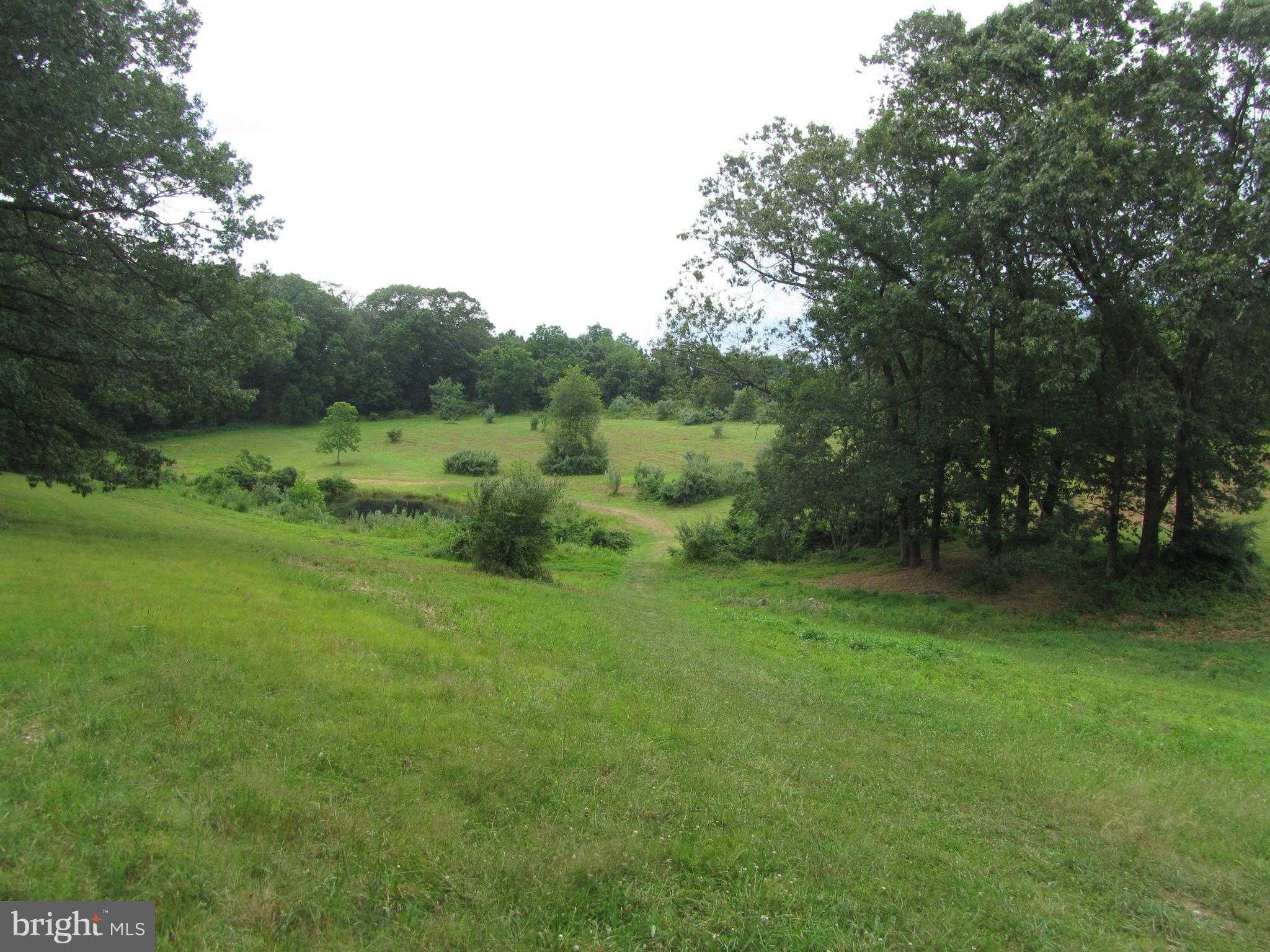 Burke Road White Hall, MD 21161 - Photo 16 of 23