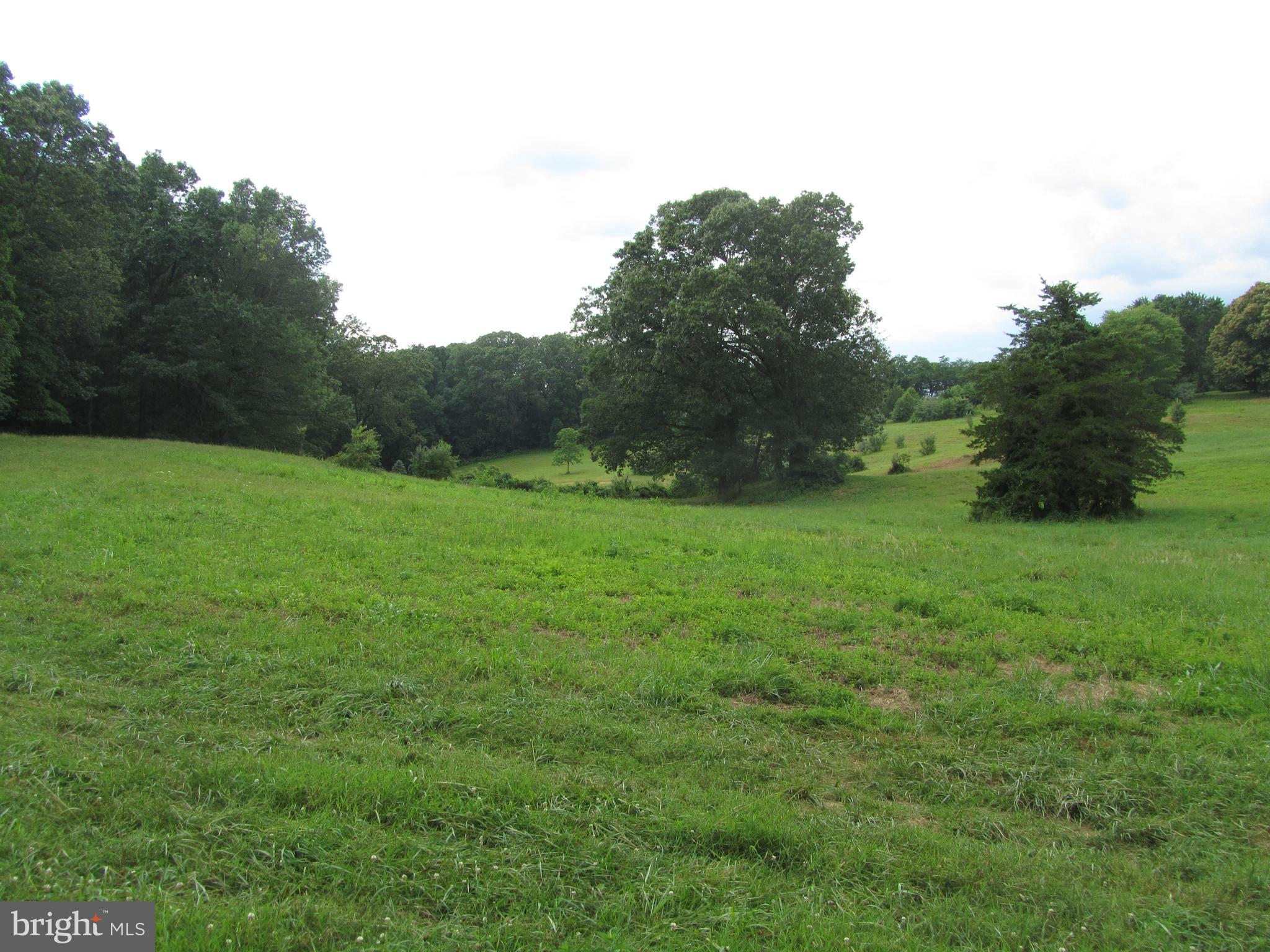 Burke Road White Hall, MD 21161 - Photo 18 of 23