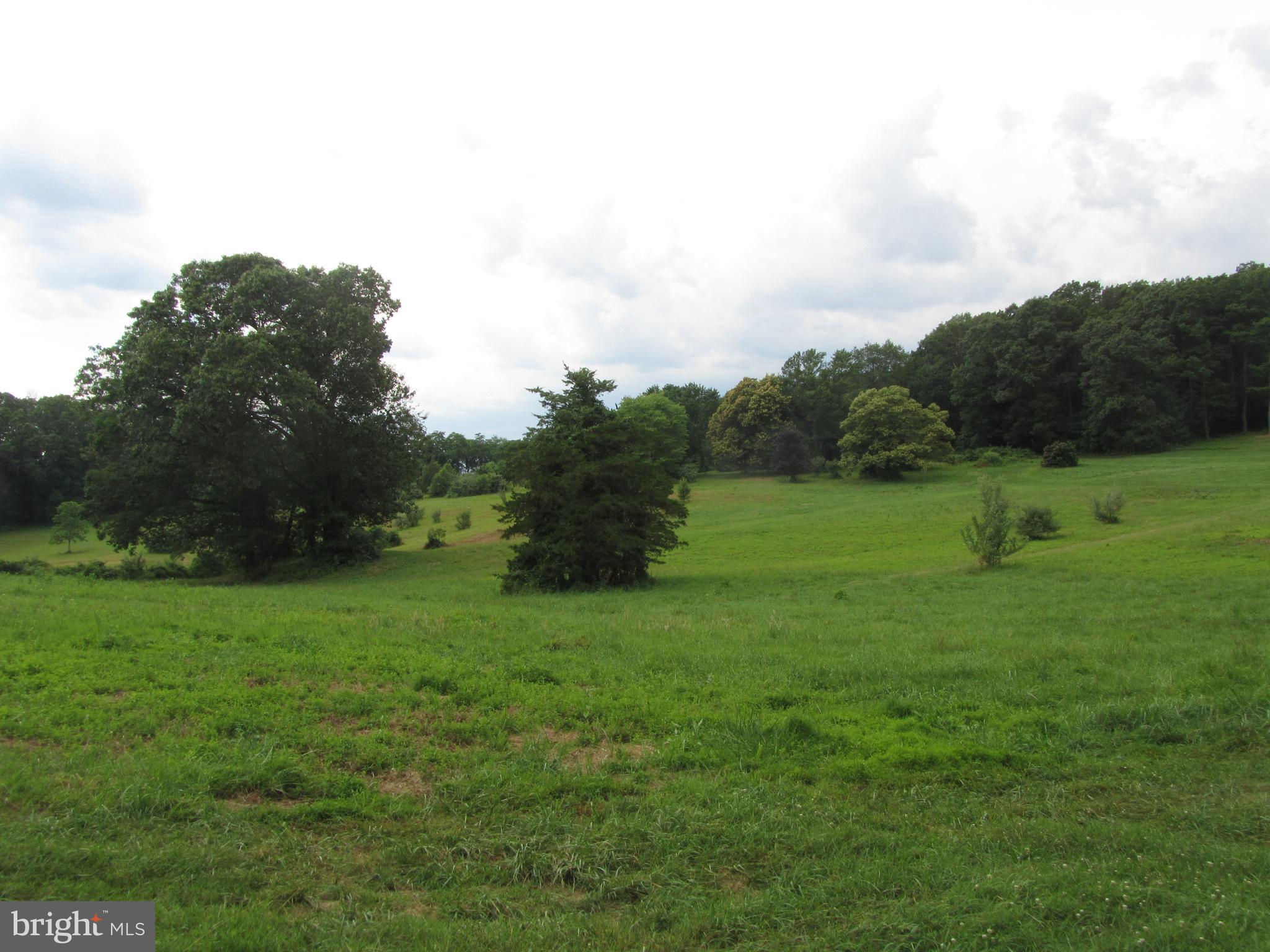 Burke Road White Hall, MD 21161 - Photo 20 of 23