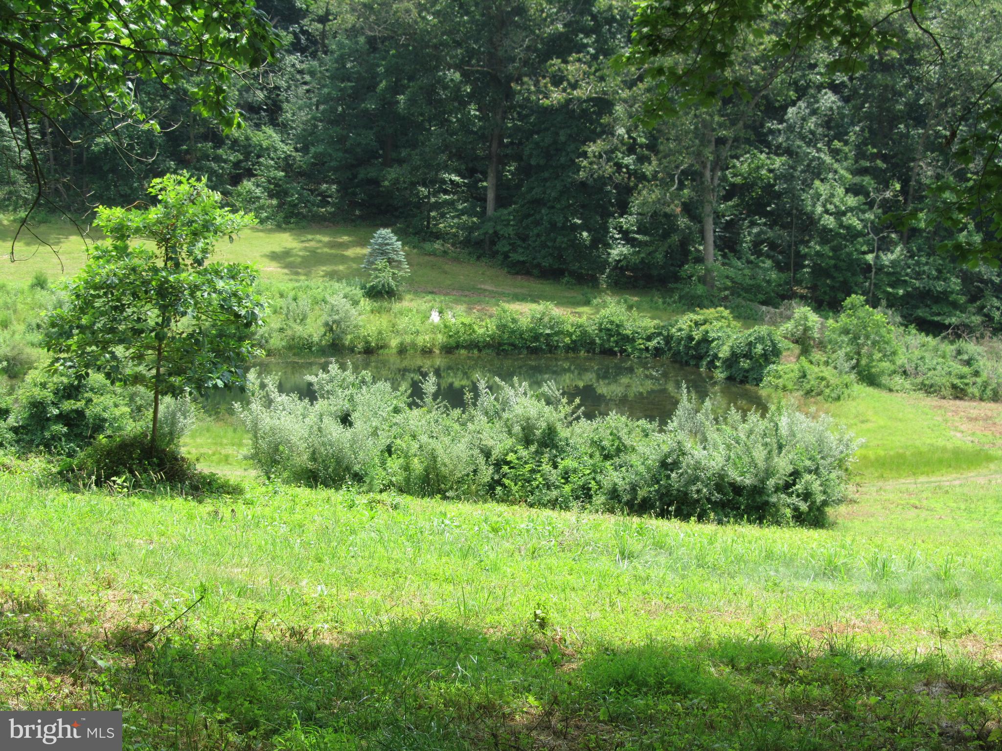 Burke Road White Hall, MD 21161 - Photo 6 of 23