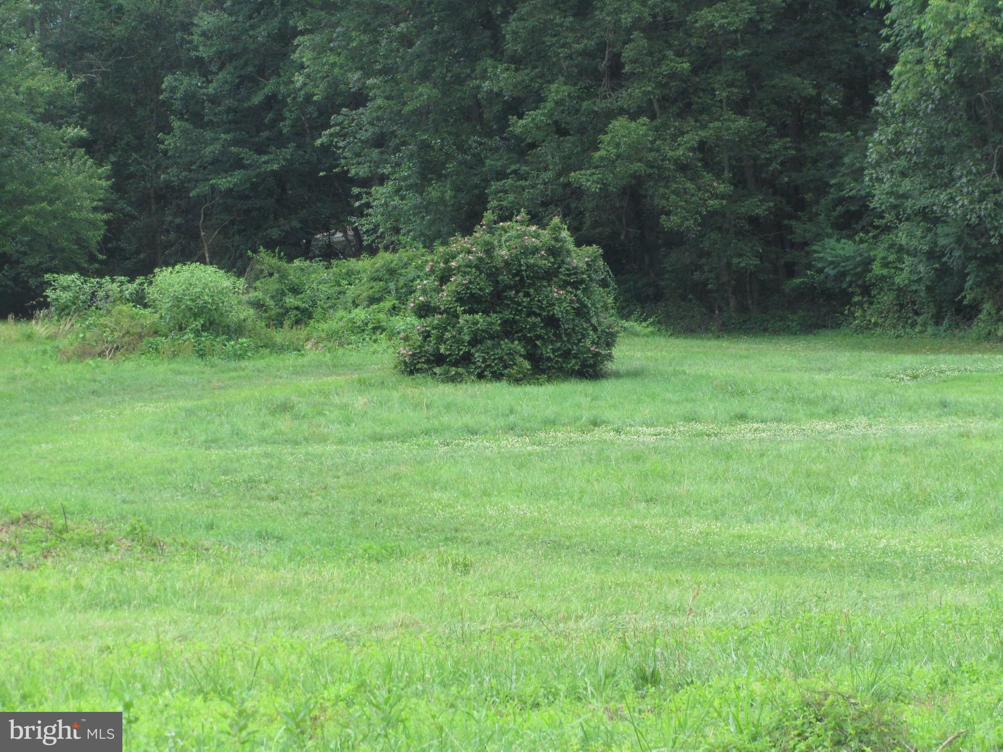 Burke Road White Hall, MD 21161 - Photo 7 of 23
