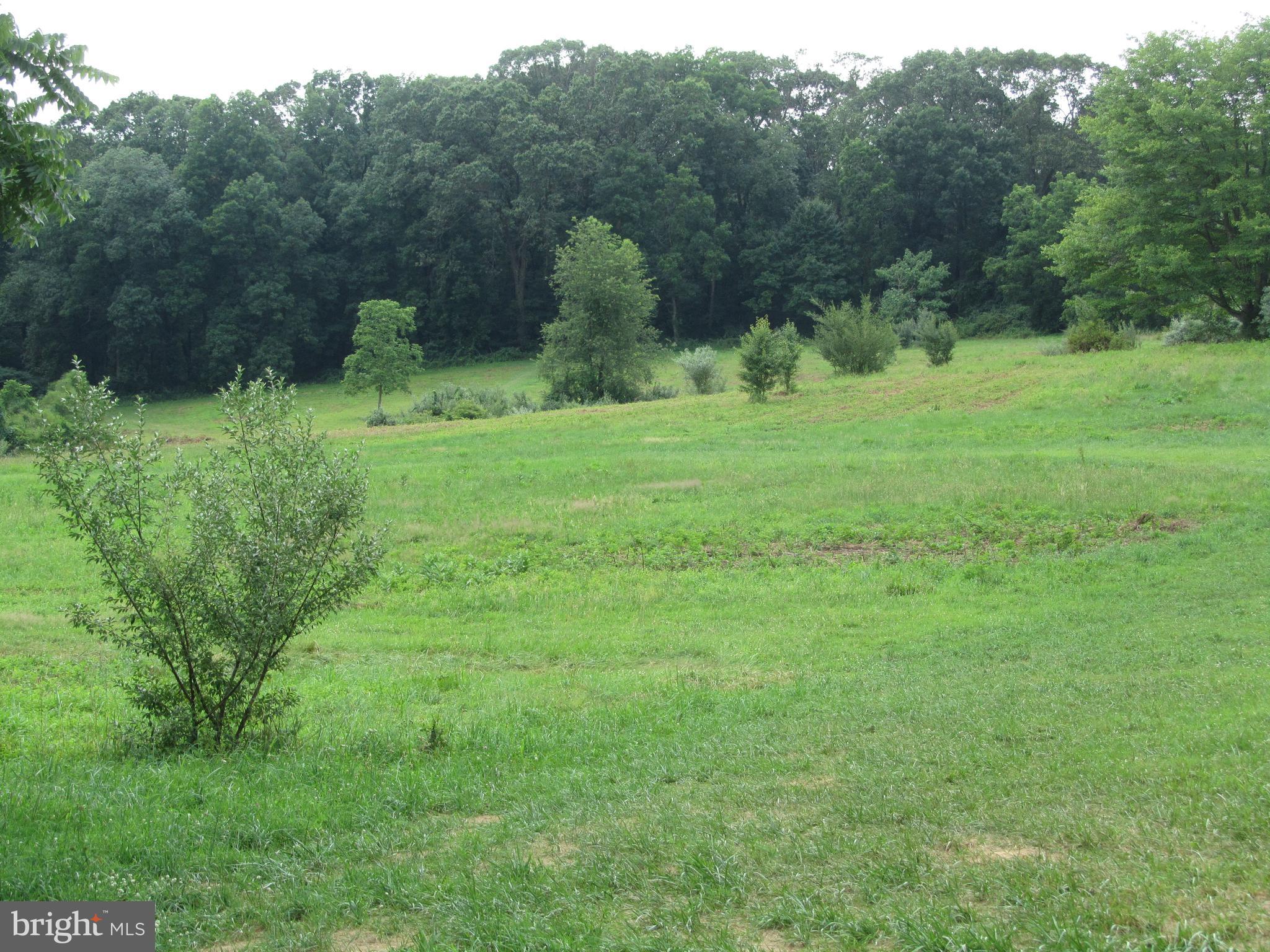 Burke Road White Hall, MD 21161 - Photo 10 of 23