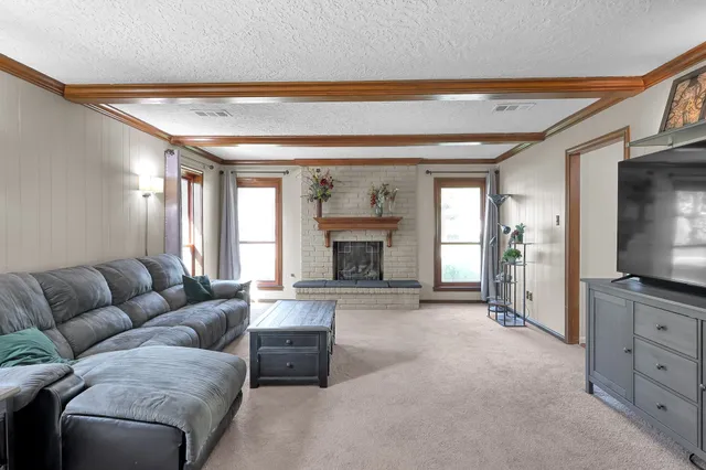 a living room with furniture window and a fireplace