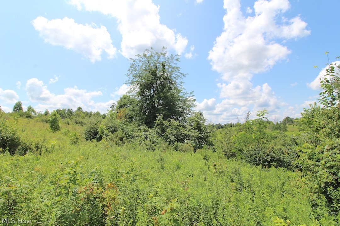 Union Hill Road Blue Rock, OH 43720 - Photo 2 of 35