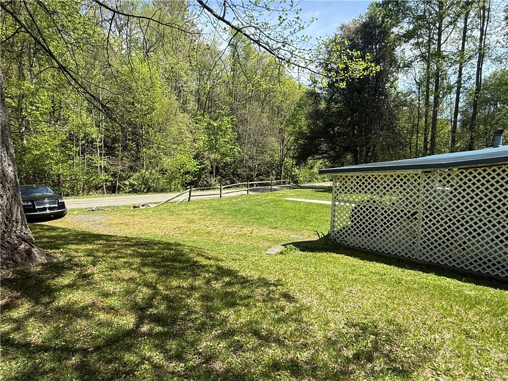 869 Little Elk Road Elk Park, NC 28622 - Photo 43 of 46 Gallery Image 43