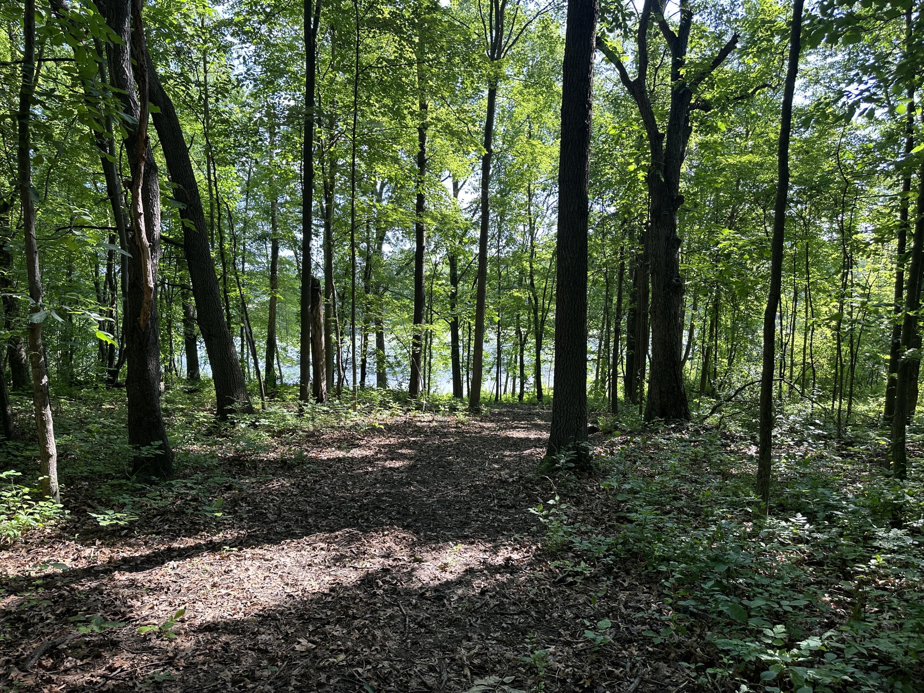 V/l Munger Road Holly, MI 48442 - Photo 2 of 18 2
