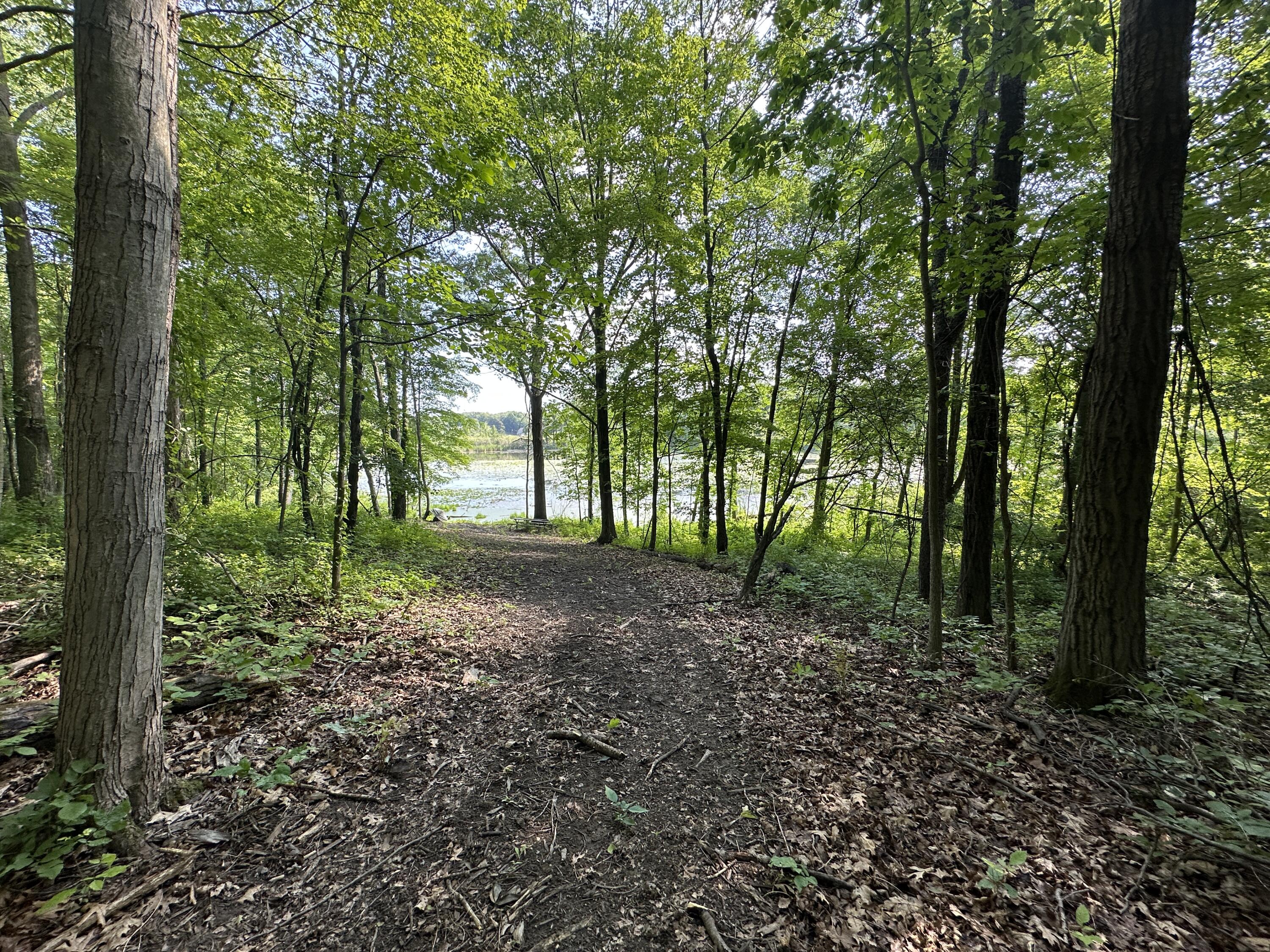 V/l Munger Road Holly, MI 48442 - Photo 3 of 18 3