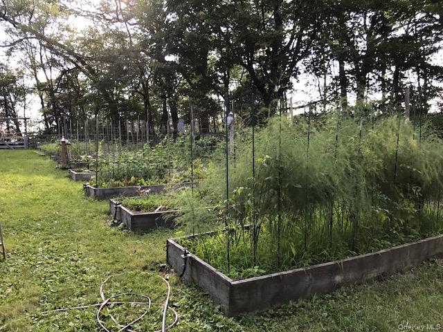 2791 Highway 9 Cold Spring, NY 10516 - Photo 42 of 47 Raised garden beds in summer