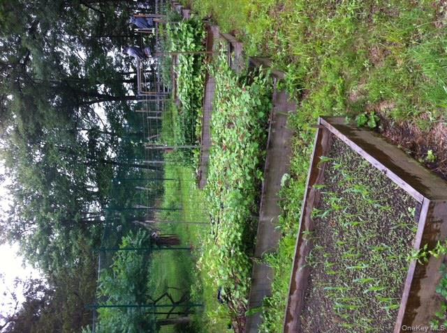 2791 Highway 9 Cold Spring, NY 10516 - Photo 43 of 47 Raised garden beds in summer