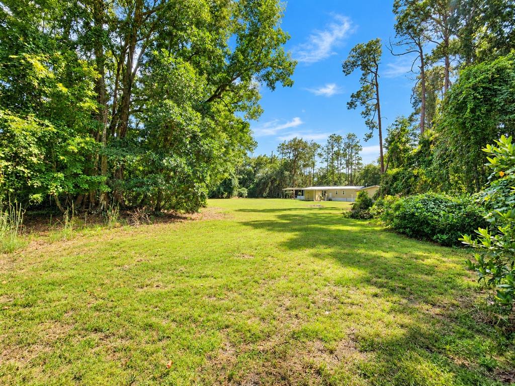126 Bayberry Road Georgetown, FL 32139 - Photo 35 of 43 Gallery Image 35