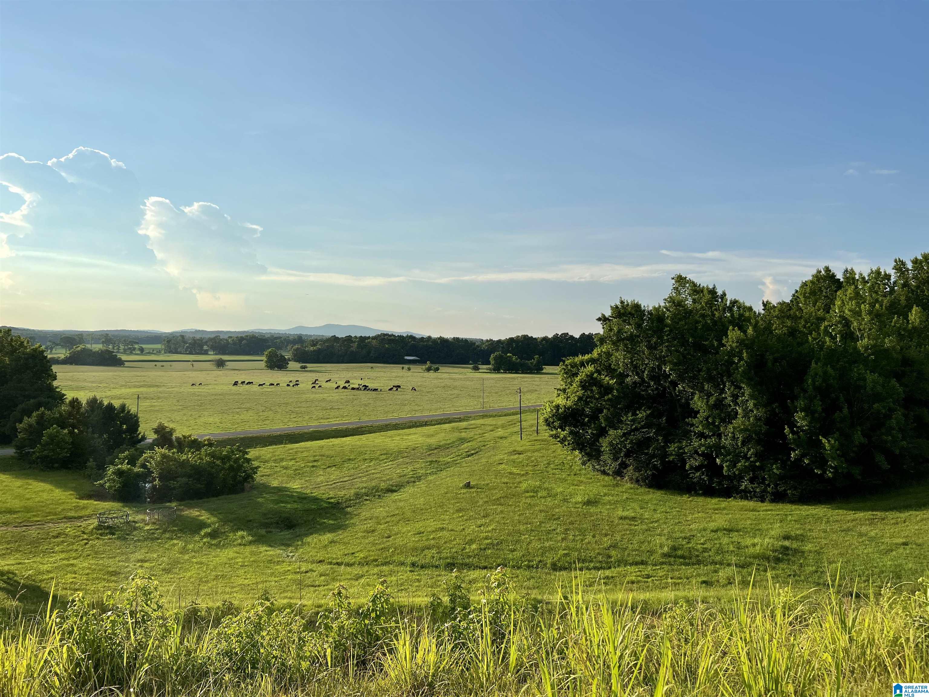 1515 Kelly Ranch Road, Unit 138 ACRES / Talladega, AL 35160 - Photo 12 of 42