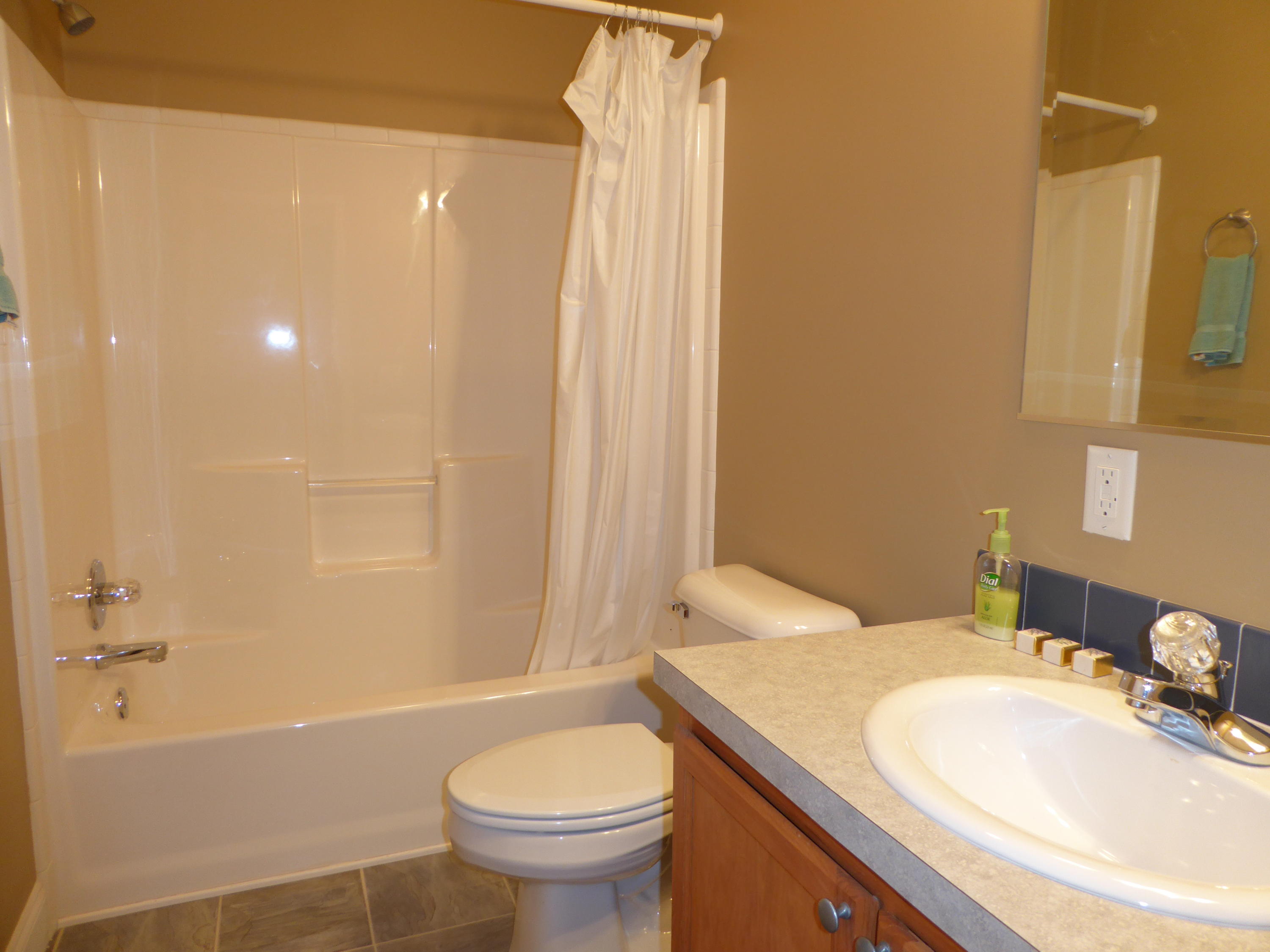 1070 Beech Mountain Road Ferrum, VA 24088 - Photo 50 of 59 51 Hall Bath