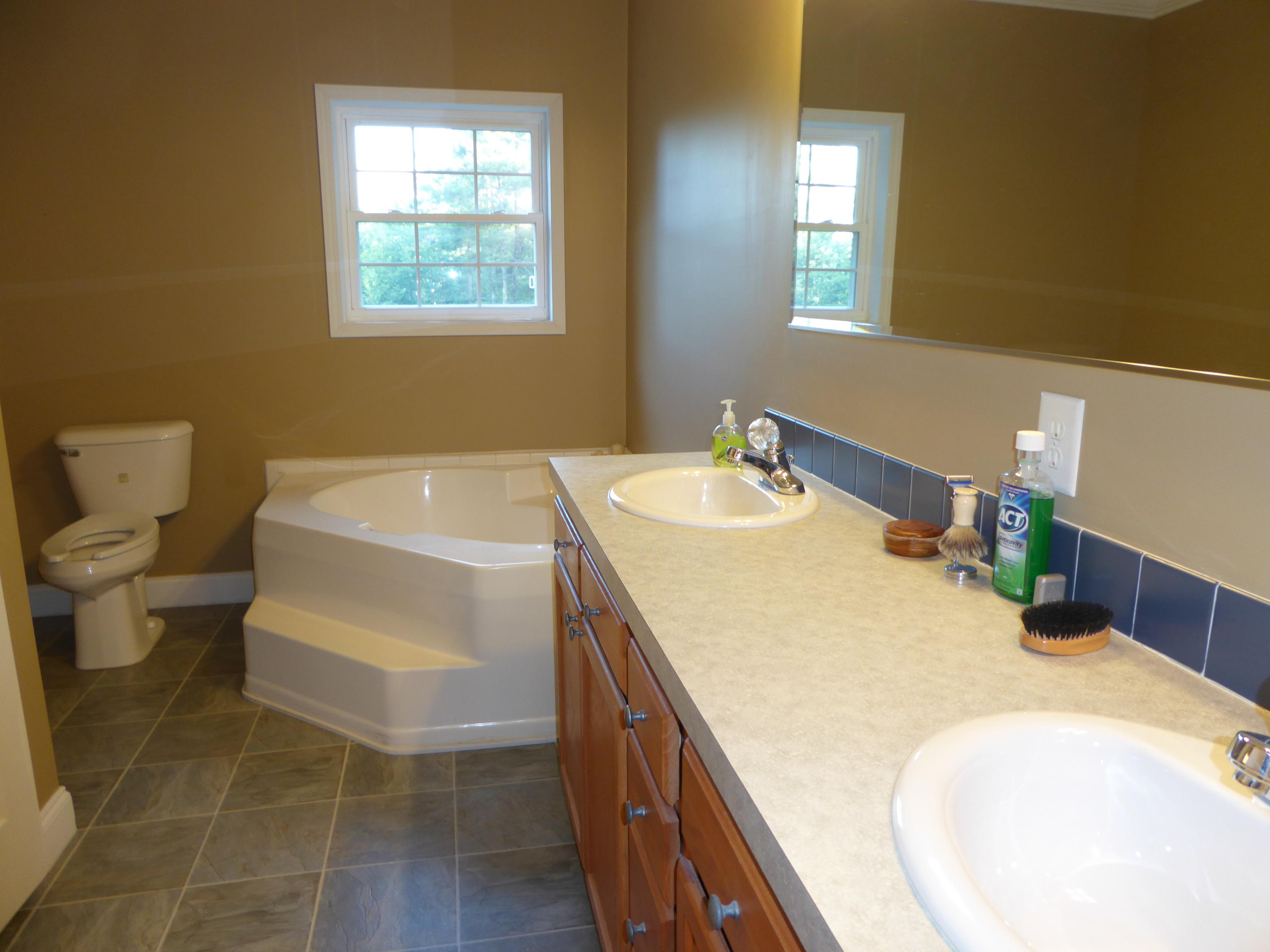 1070 Beech Mountain Road Ferrum, VA 24088 - Photo 7 of 59 7 Master Bath