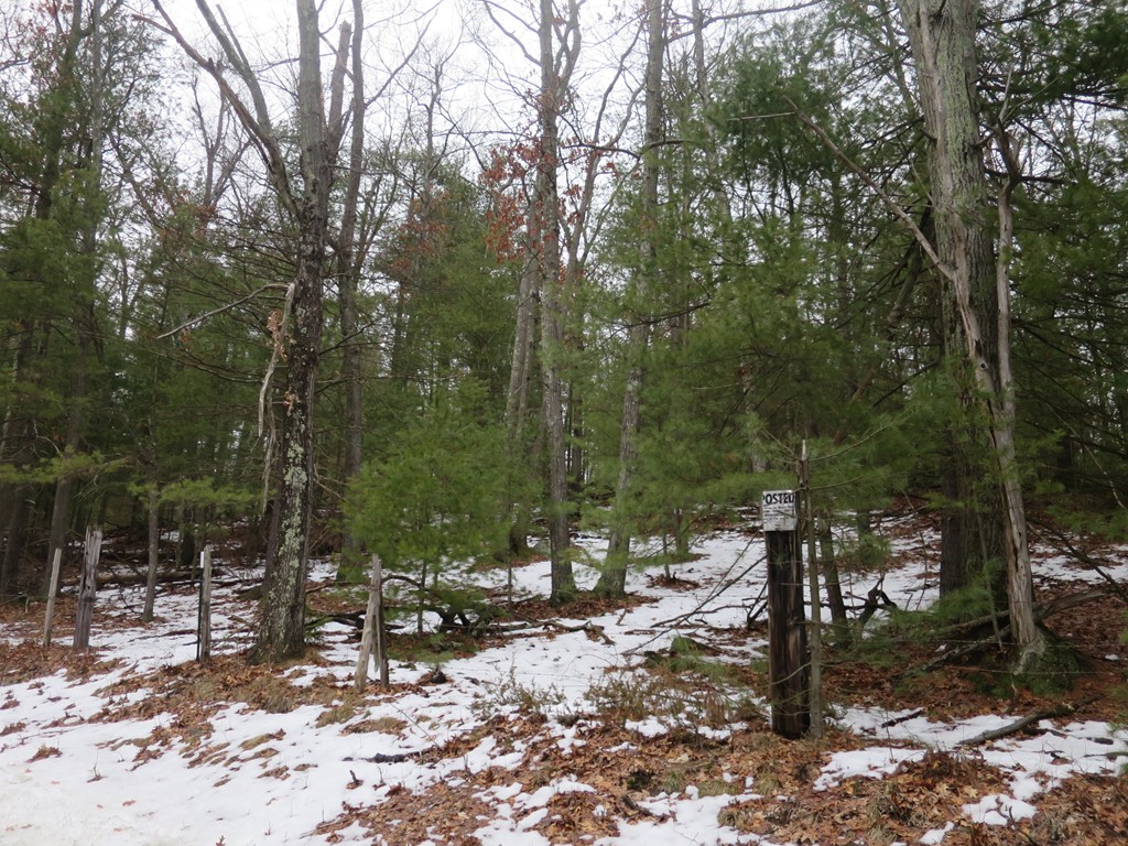 Lot 5 Bogan Road Monson, MA 01057 - Photo 4 of 15 Gallery Image 4