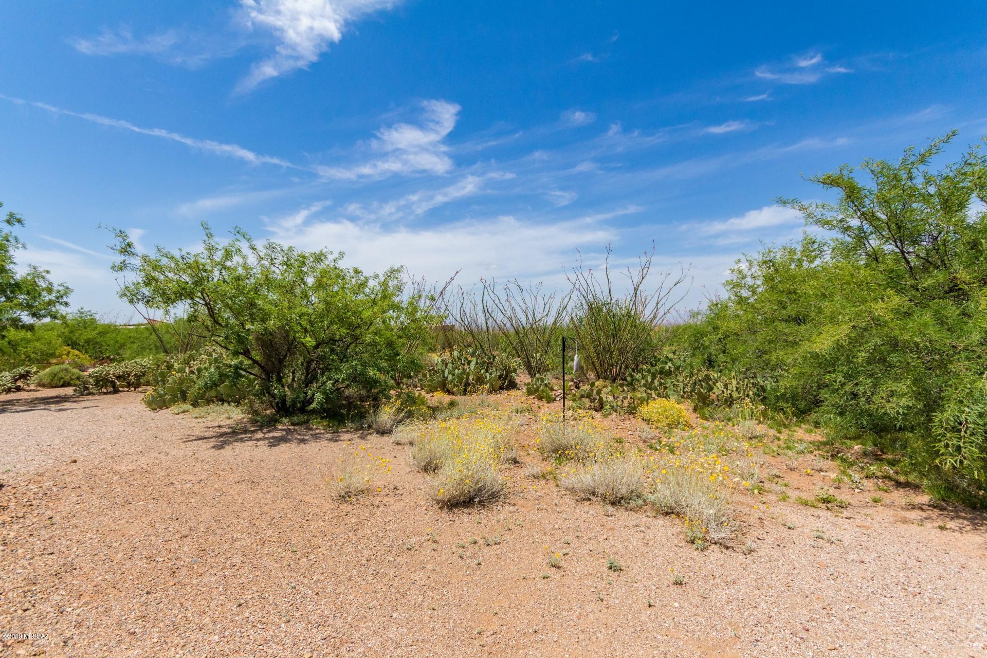 9809 East Ocotillo Rim Trail Vail, AZ 85641 - Photo 31 of 39 Gallery Image 31