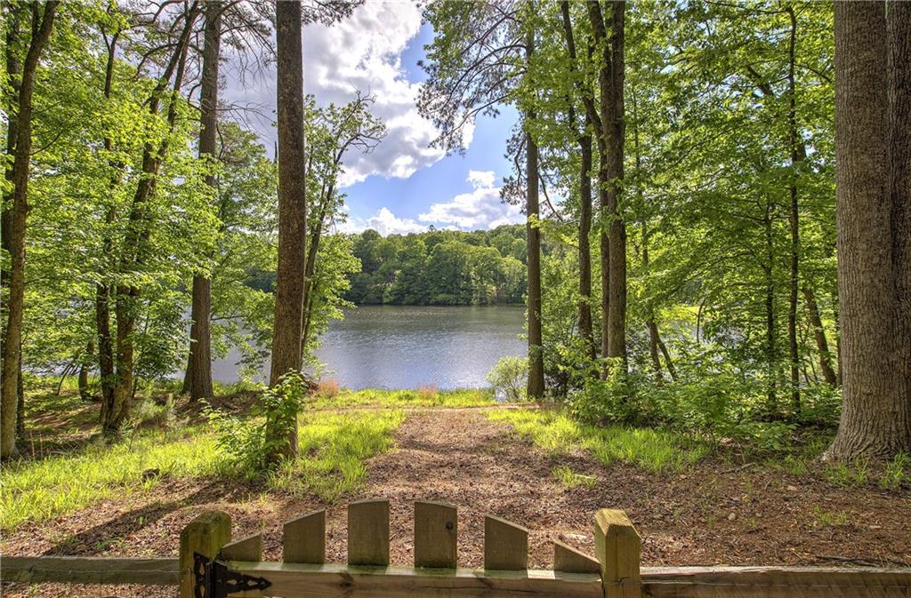 181 Fox Den Circle Jasper, GA 30143 - Photo 82 of 111 a view of a lake with a tree