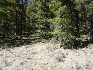 Lot 680 Alice Road Idaho Springs, CO 80452 - Photo 1 of 1
