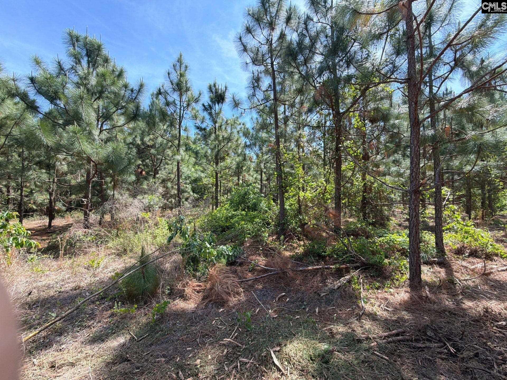 7 Holstein Road Wagener, SC 29164 - Photo 4 of 10