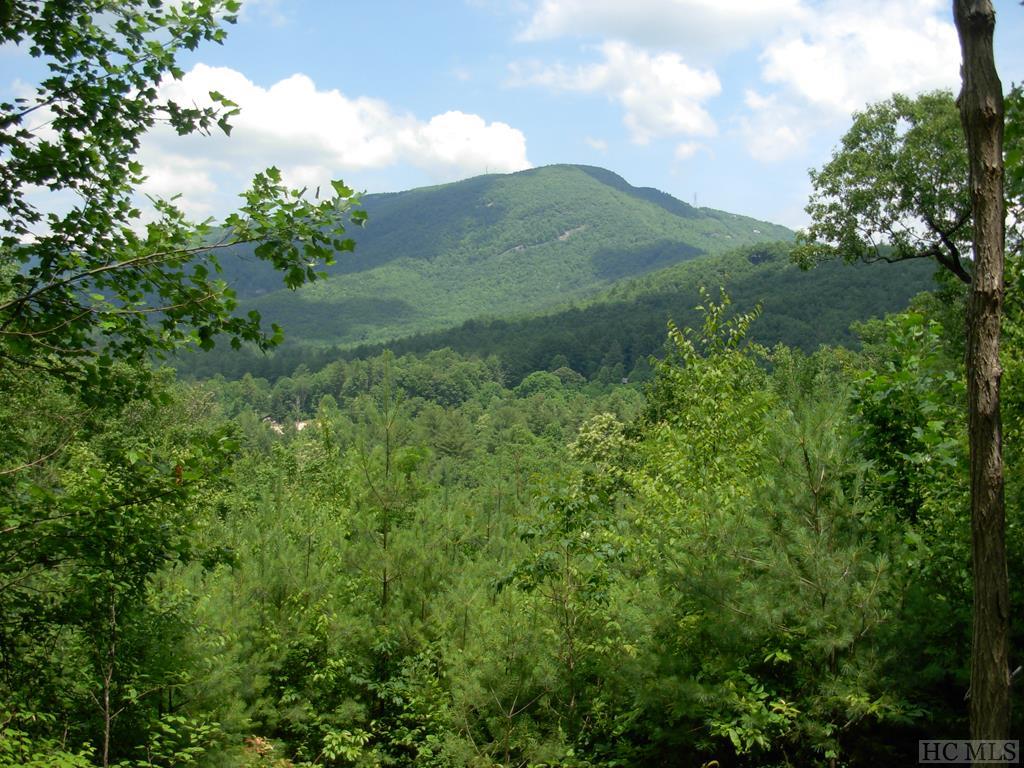 12 Running Fox Road Sapphire, NC 28774 - Photo 1 of 3 Gallery Image 1