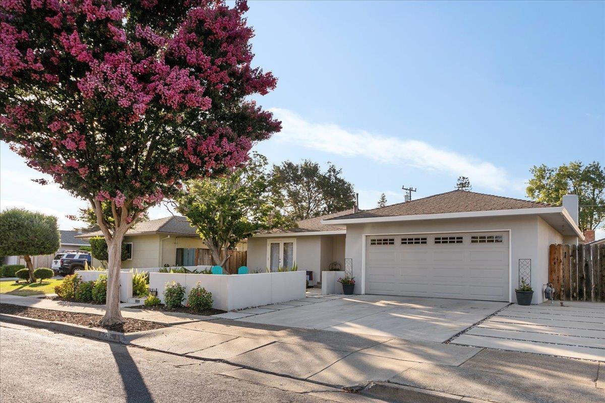 751 Eschenburg Drive Gilroy, CA 95020 - Photo 11 of 39 a front view of a house with a garden and tree