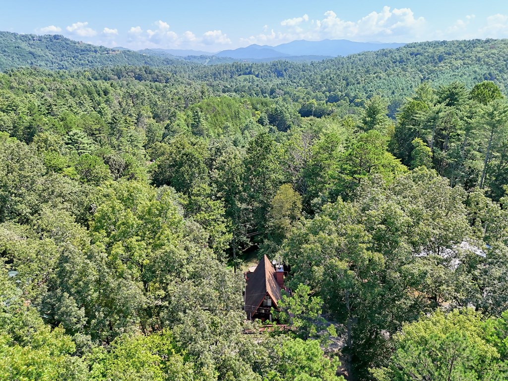 342 Laurel Cove Road Murphy, NC 28906 - Photo 11 of 47 Gallery Image 11