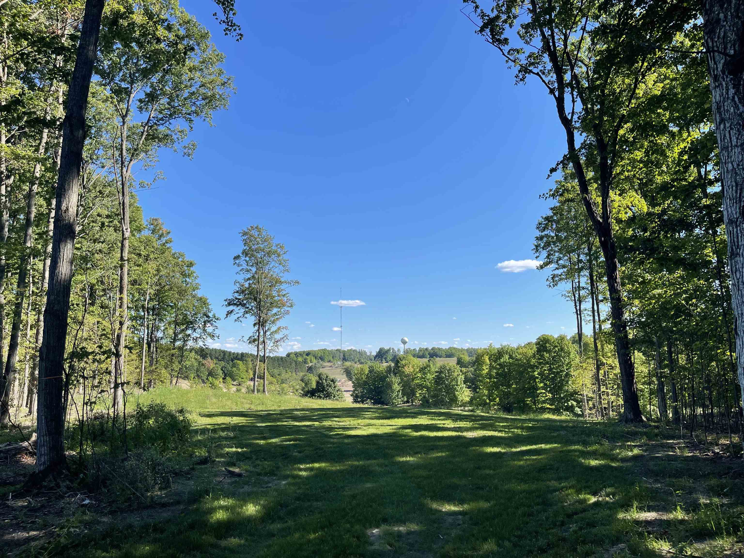 5954 Stagecoach Road, Unit LOT 48 Kingsley, MI 49649 - Photo 4 of 16