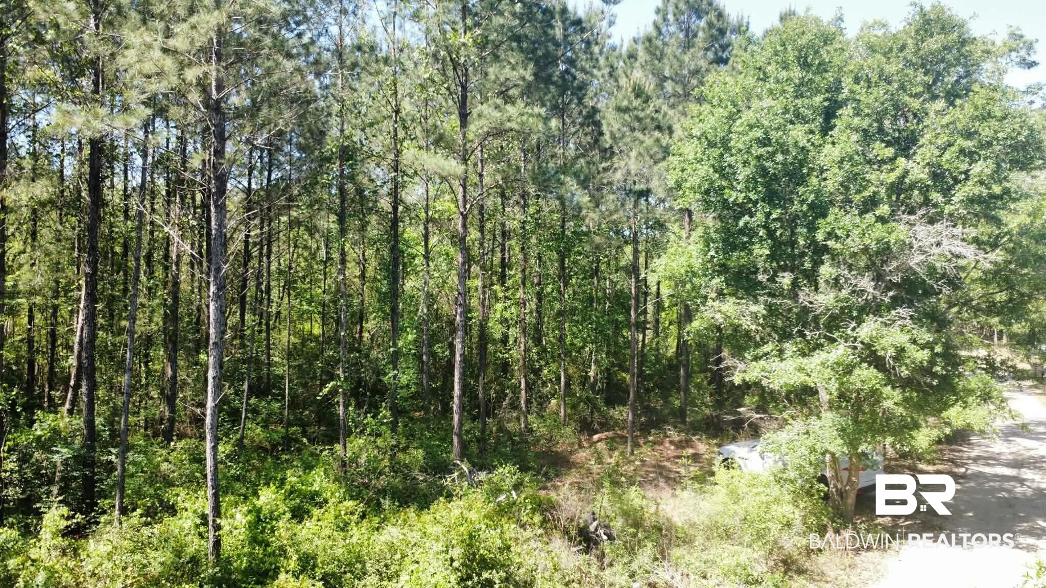 0 Smallwood Lane Seminole, AL 36574 - Photo 4 of 7