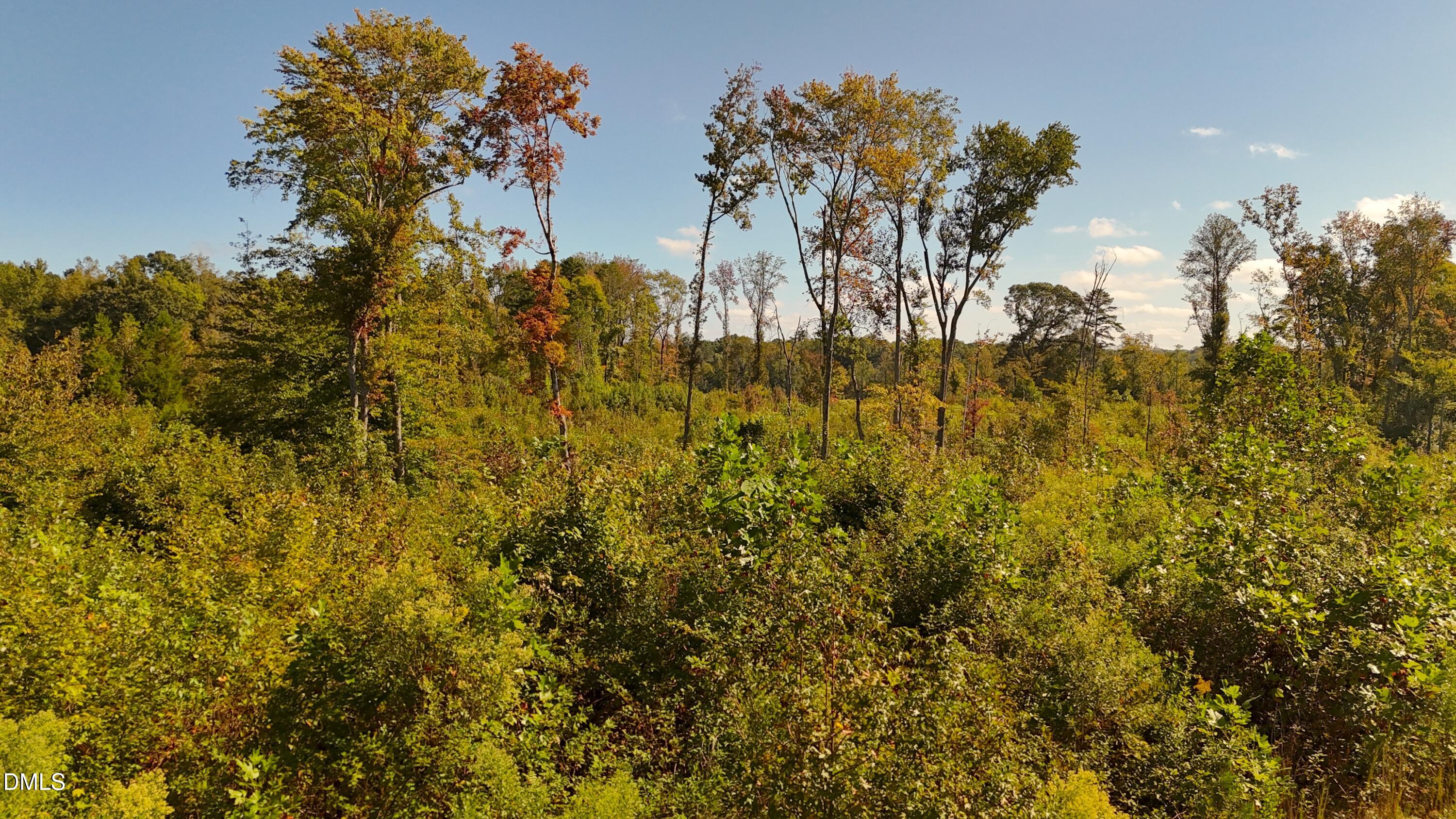1 Mack Road Asheboro, NC 27205 - Photo 14 of 24 a view of a yard with a tree