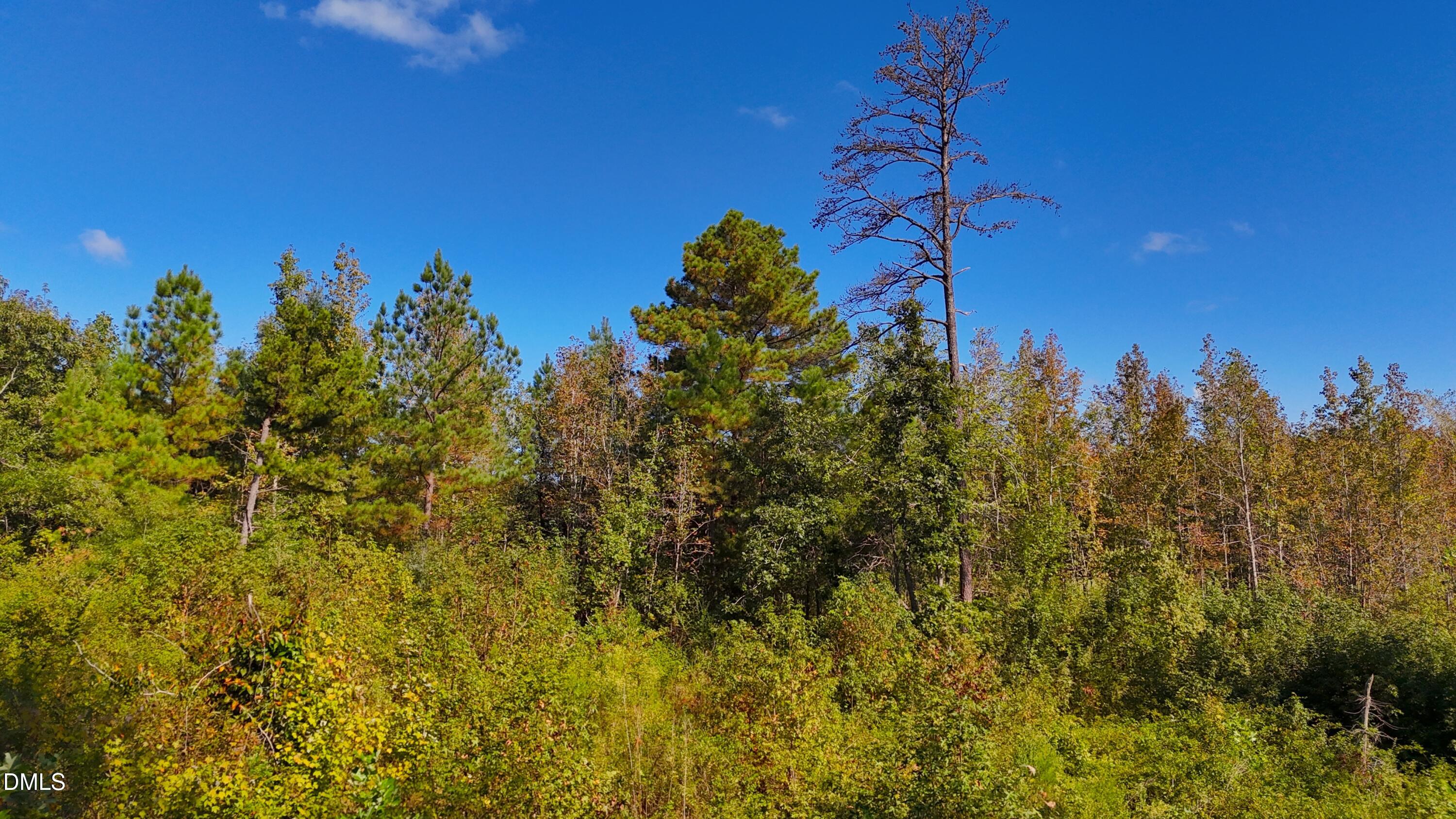 1 Mack Road Asheboro, NC 27205 - Photo 16 of 24 a view of a yard