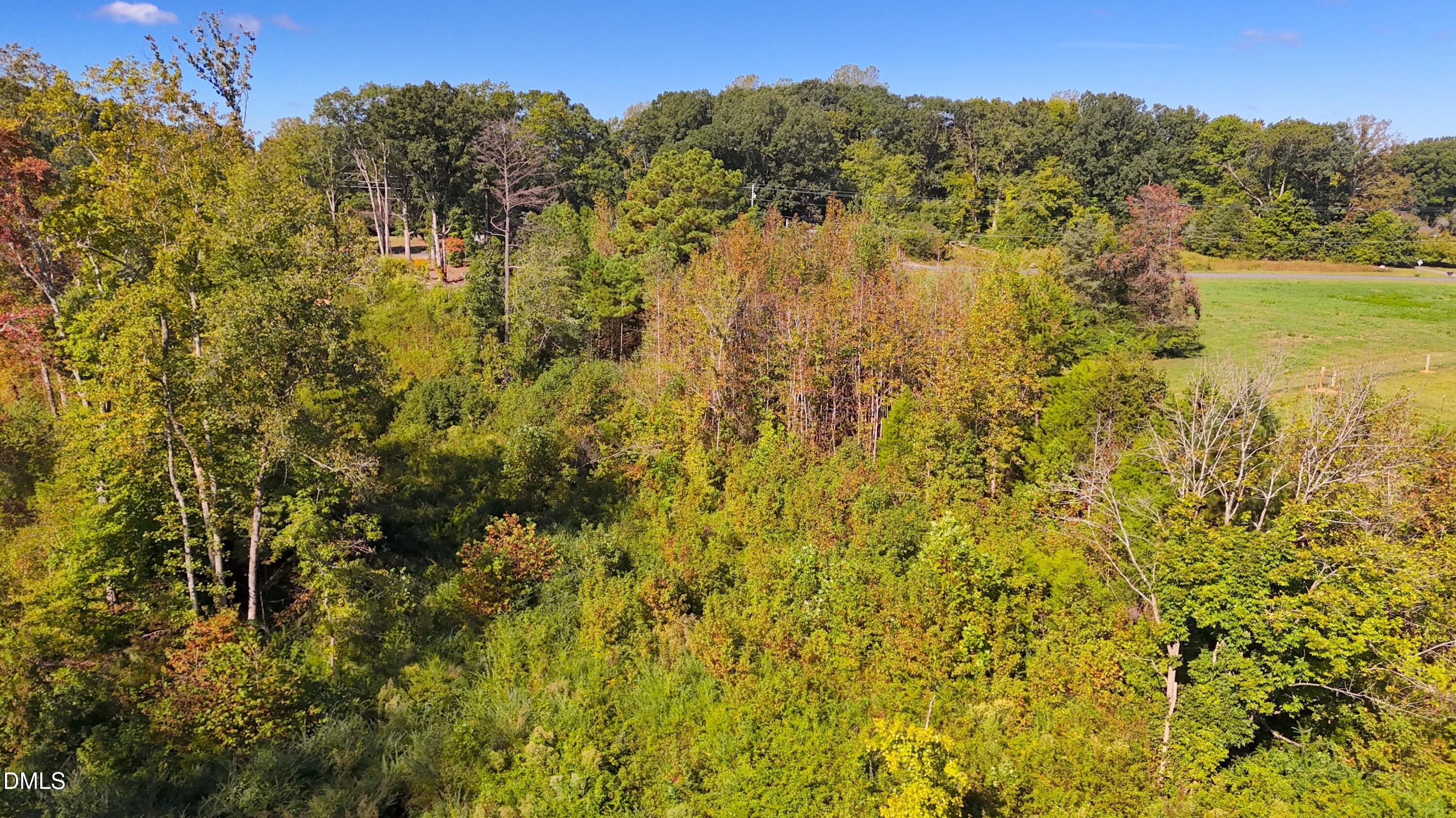 1 Mack Road Asheboro, NC 27205 - Photo 21 of 24 a view of a bunch of trees with a tree