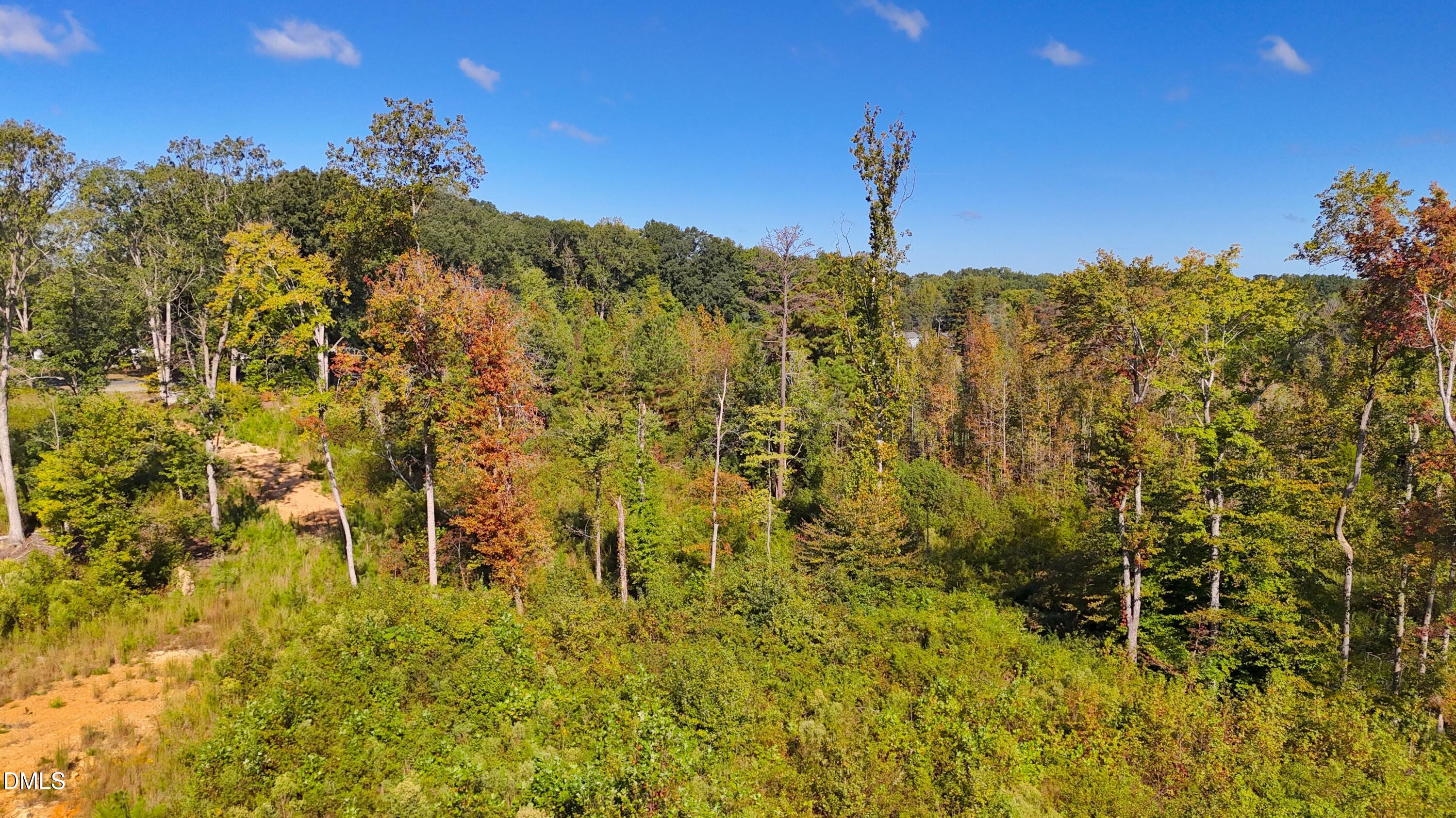 1 Mack Road Asheboro, NC 27205 - Photo 22 of 24 a view of a bunch of trees in a yard