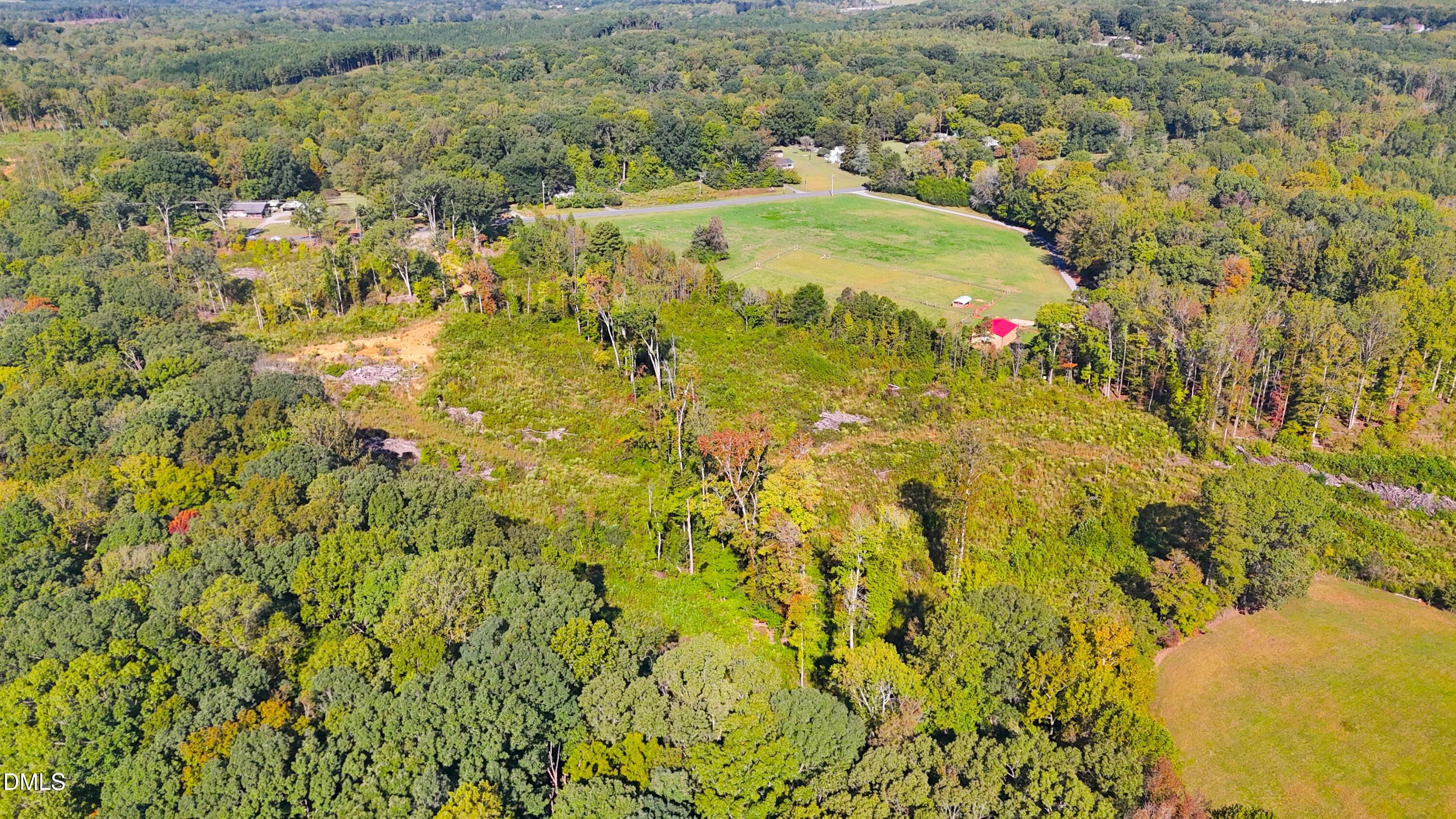 1 Mack Road Asheboro, NC 27205 - Photo 23 of 24 a close up of a flower in a garden