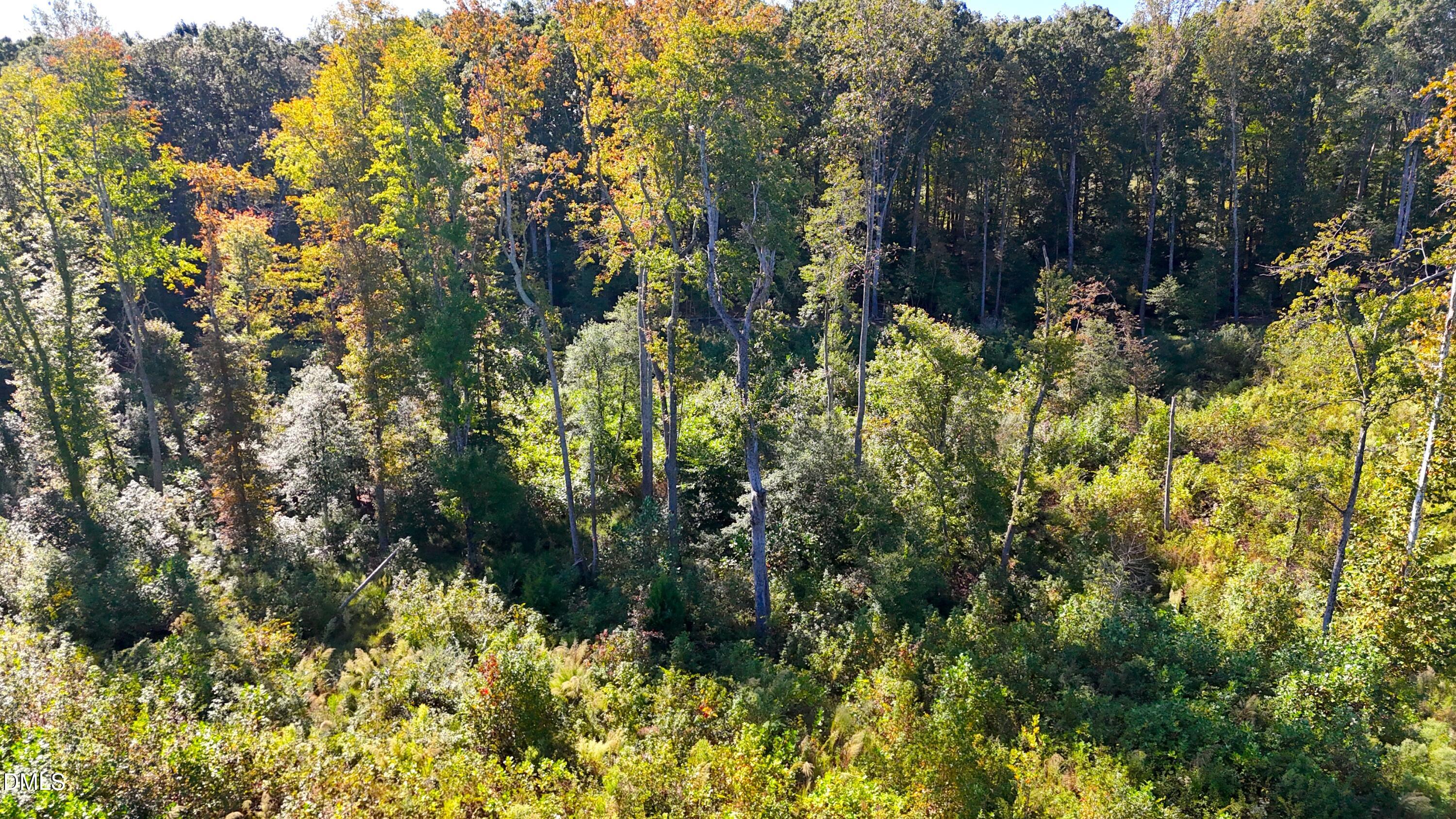 1 Mack Road Asheboro, NC 27205 - Photo 6 of 24 a view of a garden with plants