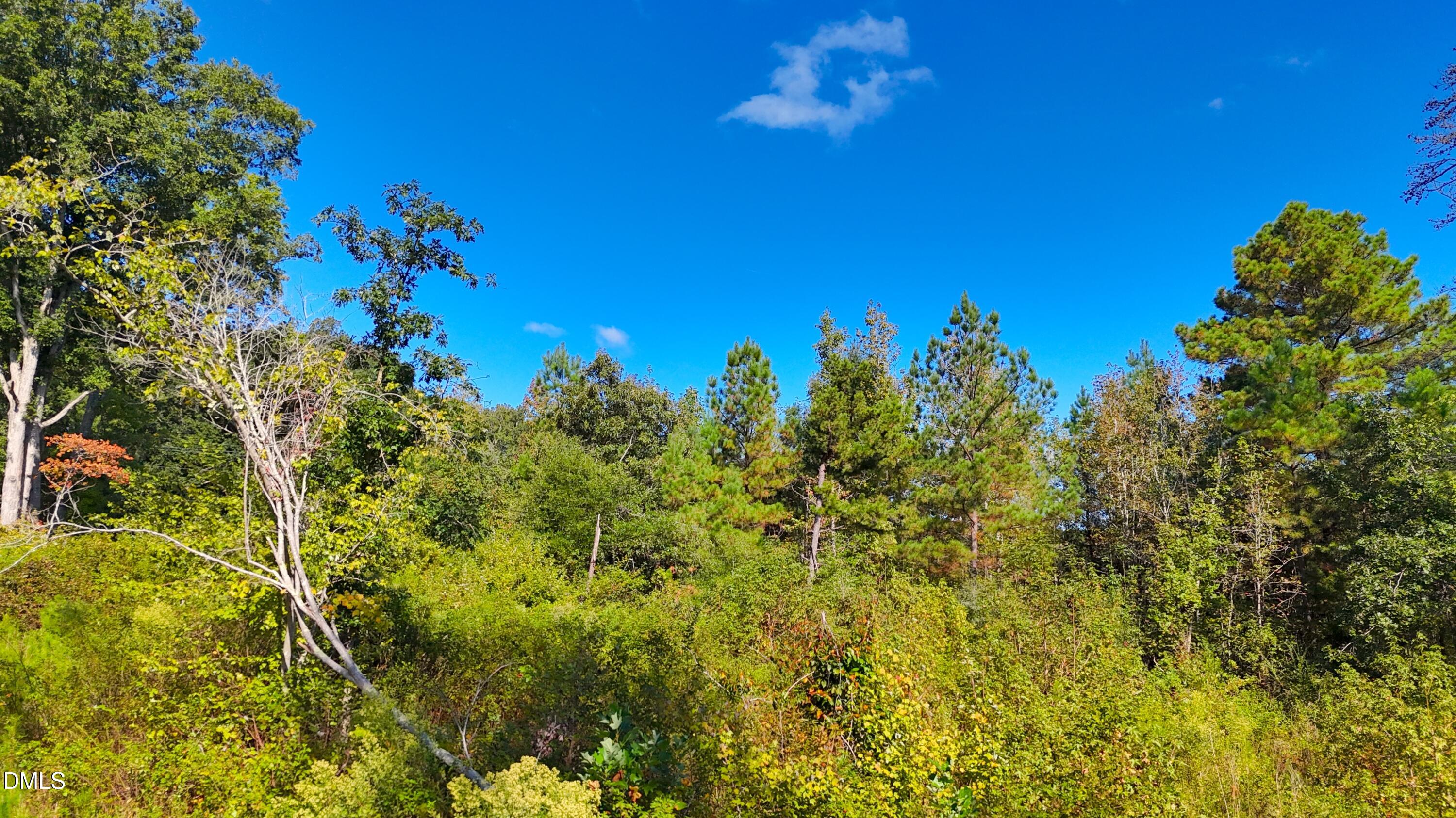 1 Mack Road Asheboro, NC 27205 - Photo 7 of 24 a view of a flower in a garden