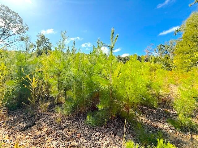 1 Mack Road Asheboro, NC 27205 - Photo 8 of 24 a view of a garden