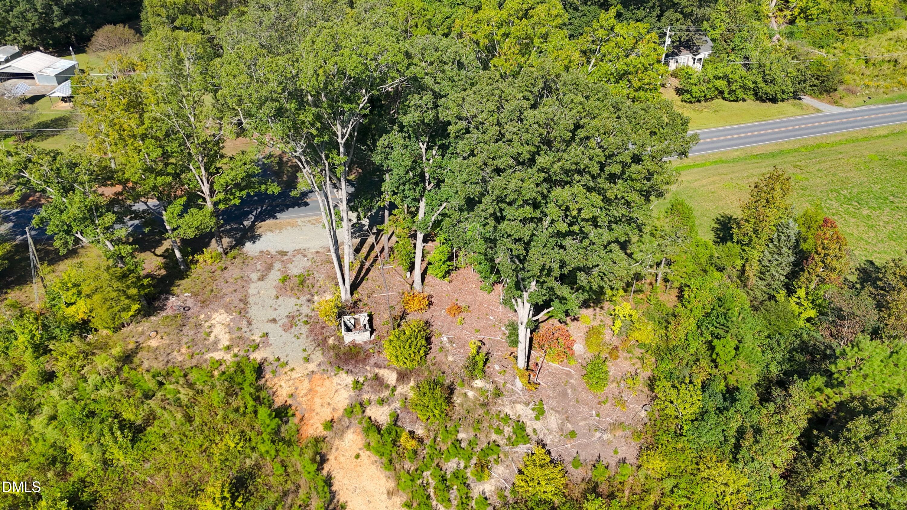 1 Mack Road Asheboro, NC 27205 - Photo 10 of 24 a view of a garden with plants and large trees