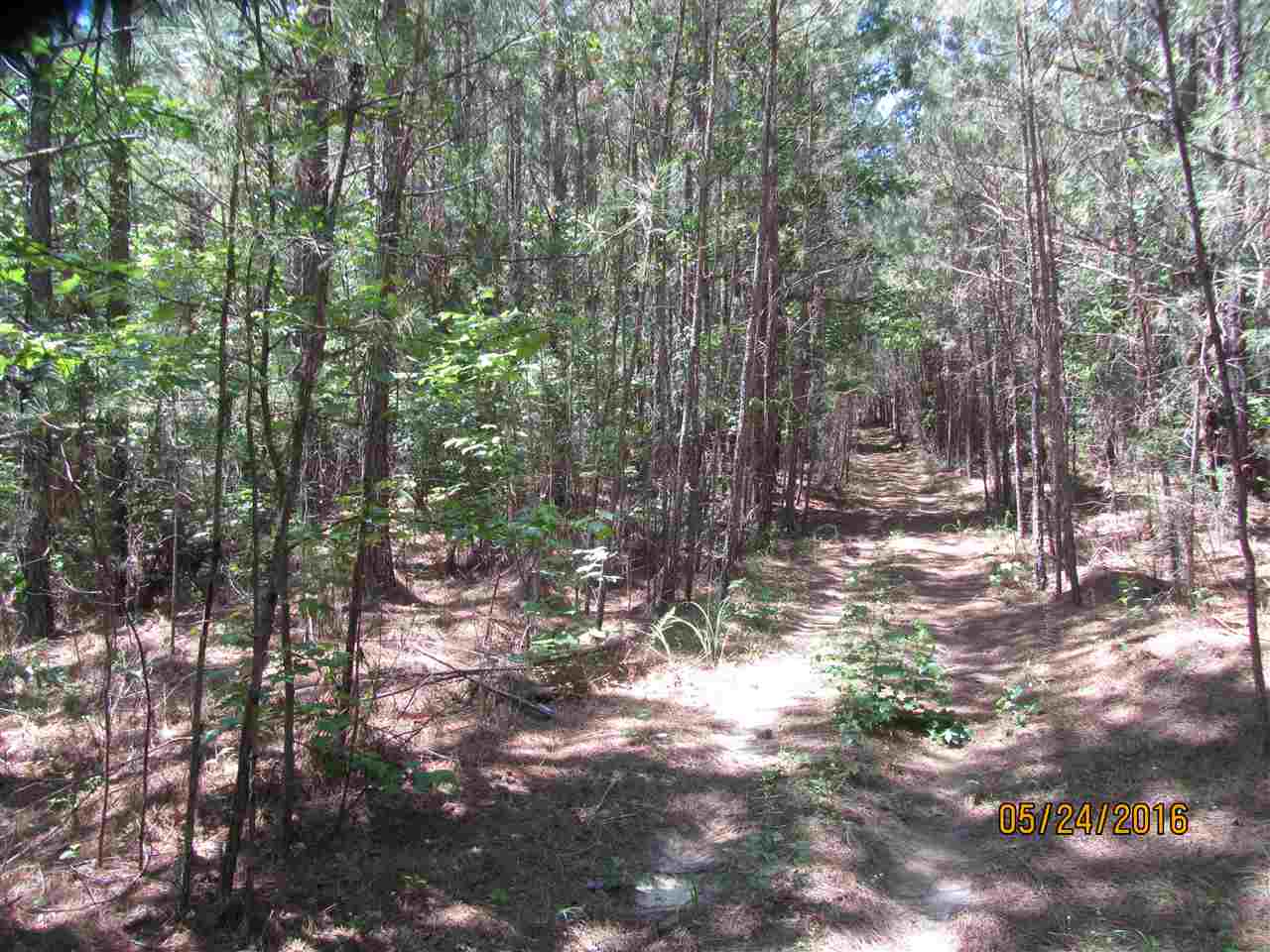 154.64-ac Lee Foster Road Union, SC 29379 - Photo 1 of 6
