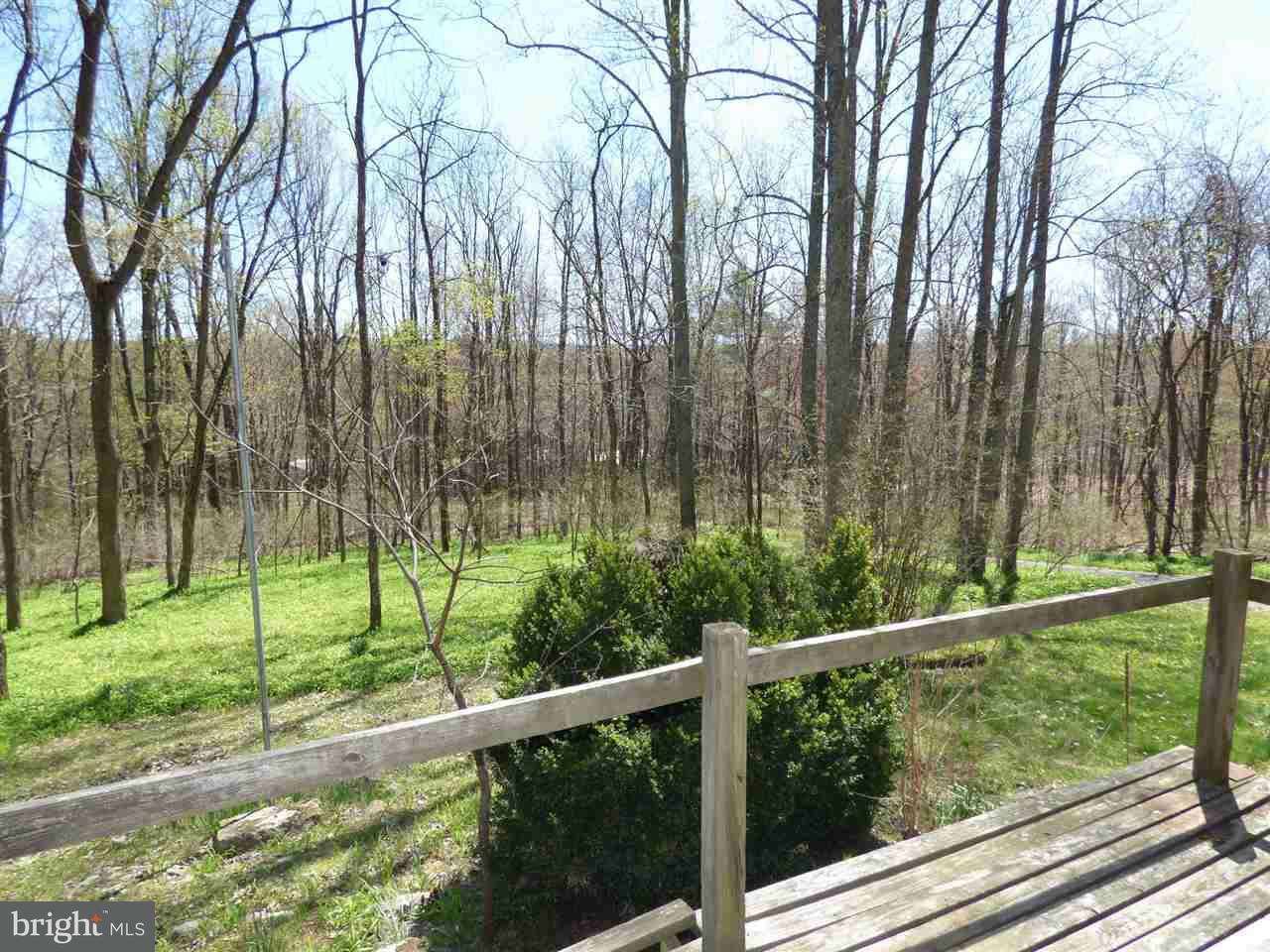 450 Mountain Road Liverpool, PA 17045 - Photo 14 of 25 Gallery Image 14