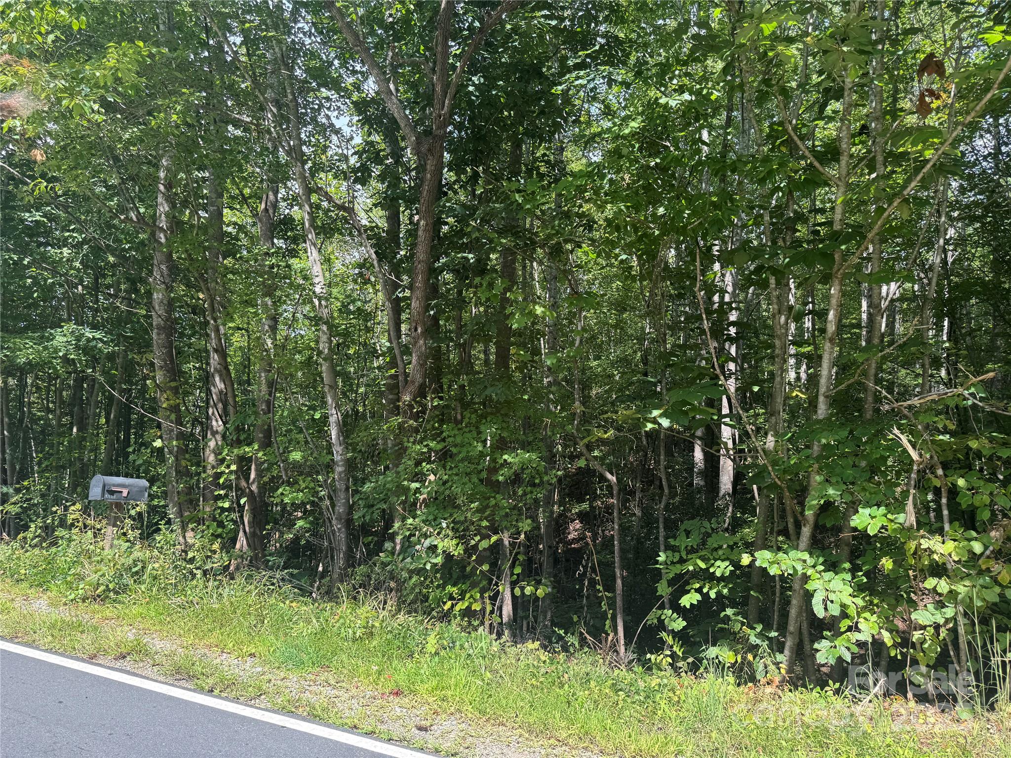 0 Playmore Beach Road Morganton, NC 28655 - Photo 3 of 4 a view of a garden