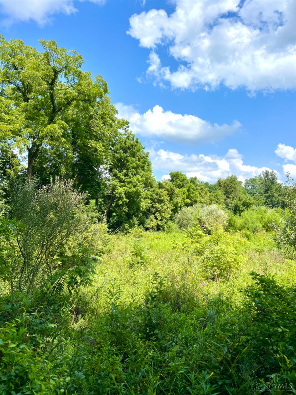0 Brier Ridge Road West Union, OH 45693 - Photo 22 of 98