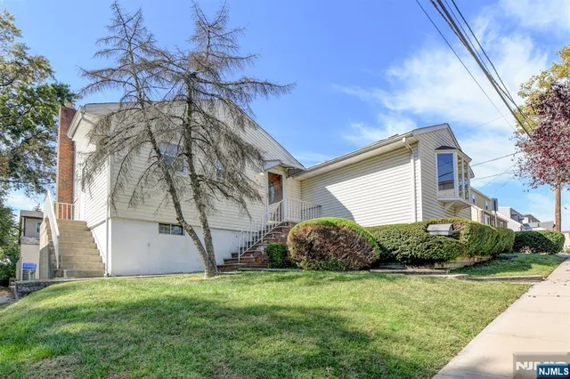 a view of a backyard with potted plants and large tree
