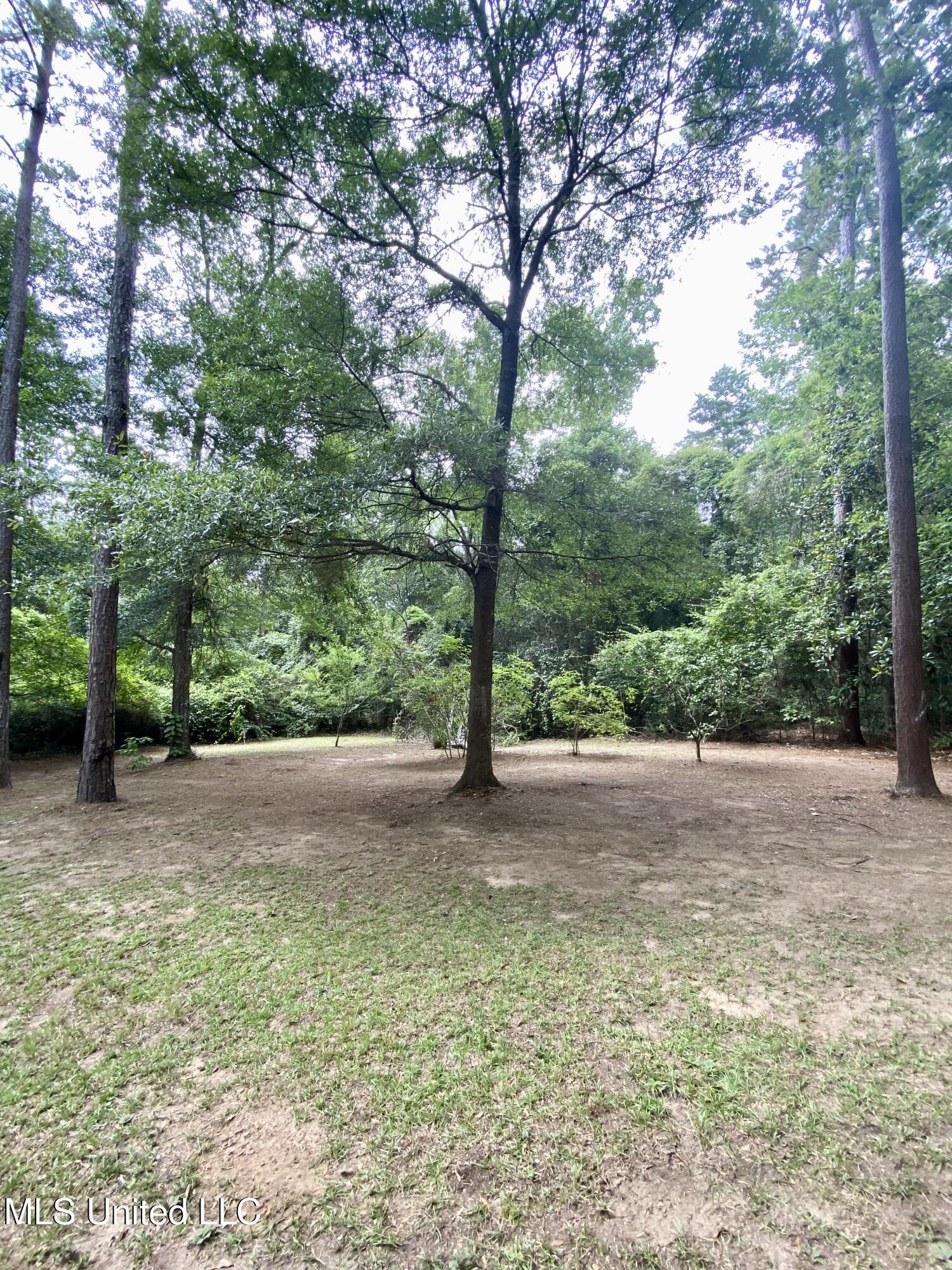 22 Uncle Pete Road Carriere, MS 39426 - Photo 17 of 17 16 Property, IMG_4502