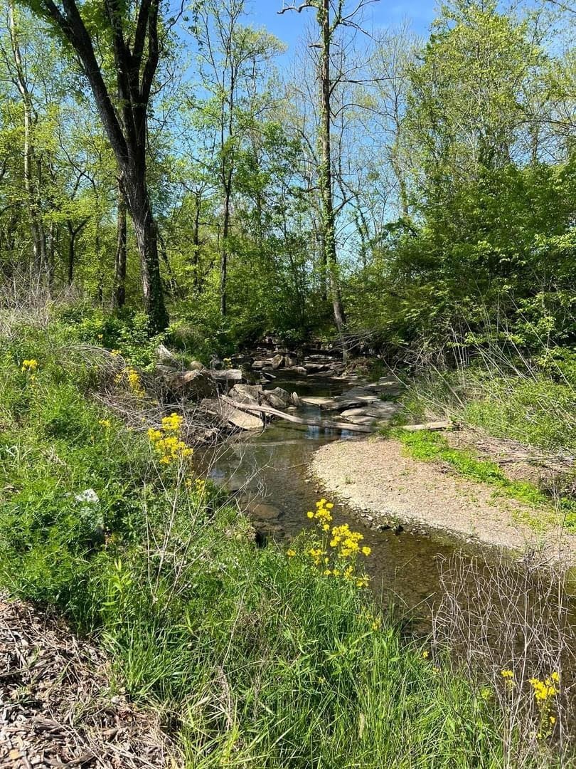 4049 John Marsh Road Spring Hill, TN 37174 - Photo 21 of 33