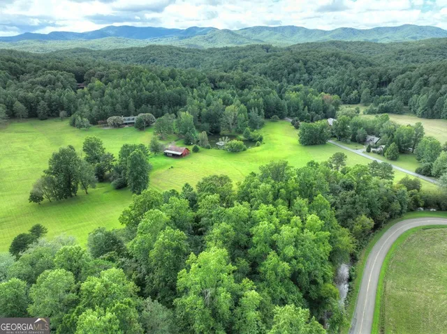a living room with furniture a fireplace and a potted plant