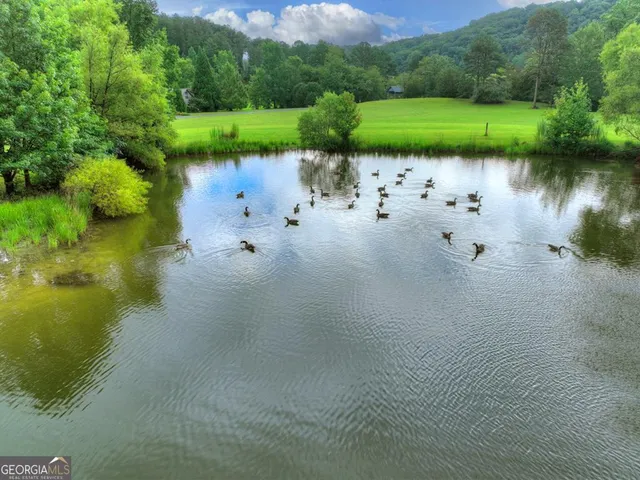 $1,290,000 | 167 Whispering Pine Lane, Cherry Log, GA 30522