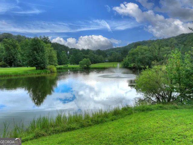 $1,290,000 | 167 Whispering Pine Lane, Cherry Log, GA 30522