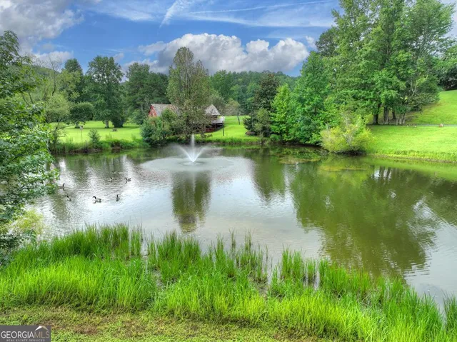 $1,290,000 | 167 Whispering Pine Lane, Cherry Log, GA 30522